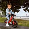 BERG Biky - Mini Red - Lightweight Balance Bike for Toddlers | Toddler Bike, Kids Bike for 2-5 Year Olds | Easy-to-Use Mini Bike for Boys & Girls | Ideal First Bike for Kids view 2