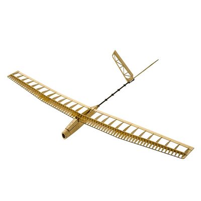 Dancing Wings Hobby Balsawood Radio Remote Controlled Electric Powered F14 Glider Uzi Aeroplane Laser Cut Kit Wingspan 1400mm Un-Assembled for Adults;Balsawood Hand Launch Aircraft to Build (F1401B)