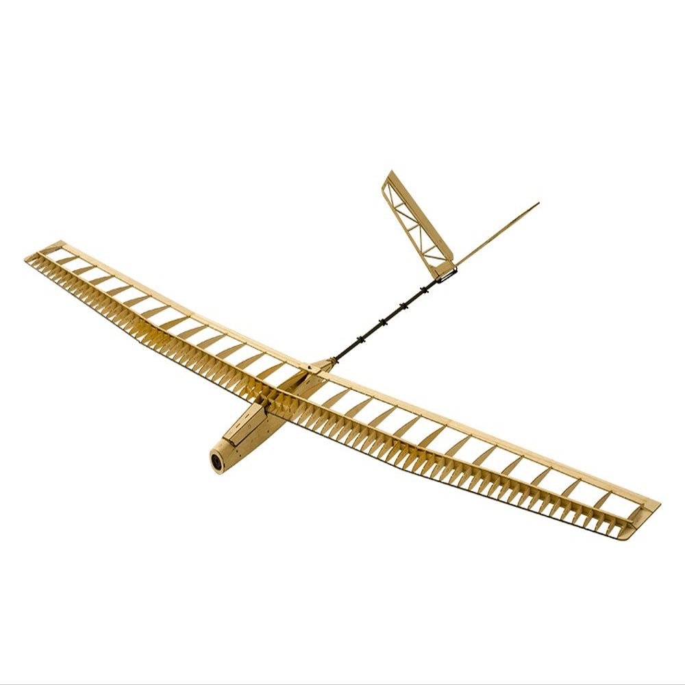 Dancing Wings Hobby Balsawood Radio Remote Controlled Electric Powered F14 Glider Uzi Aeroplane Laser Cut Kit Wingspan 1400mm Un-Assembled for Adults;Balsawood Hand Launch Aircraft to Build (F1401B)