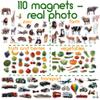 110 Fridge Magnet for Toddlers in Gift Tin Box Kids Magnets for Fridge - Realistic Magnetic Animals for Refrigerator - Safe Educational Materials for Baby: Zoo, Farm, Fruits, Vegetables, Transport view 4