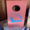 Cornhole Boards on the go view 3