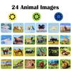 Georgie Porgy Children Projector Toys Educational Science Set Wall Ceiling Tent Torch Flashlight for Kids Gifts for Boys Girls (Wild Animal) view 4