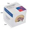 Human Anatomy Study Cube | Study 9 Parts of The Human Body | Perfect Anatomy Revision Guide | Addictive Anatomy Model Cube | Great Gift for Nurse, Dentist, Medical Students view 2