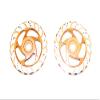 GPM for Team LOSI-1/6 Super Baja Rey 4X4 Aluminum Brake Disk with Silver Lining -2PC Set (Orange) view 1