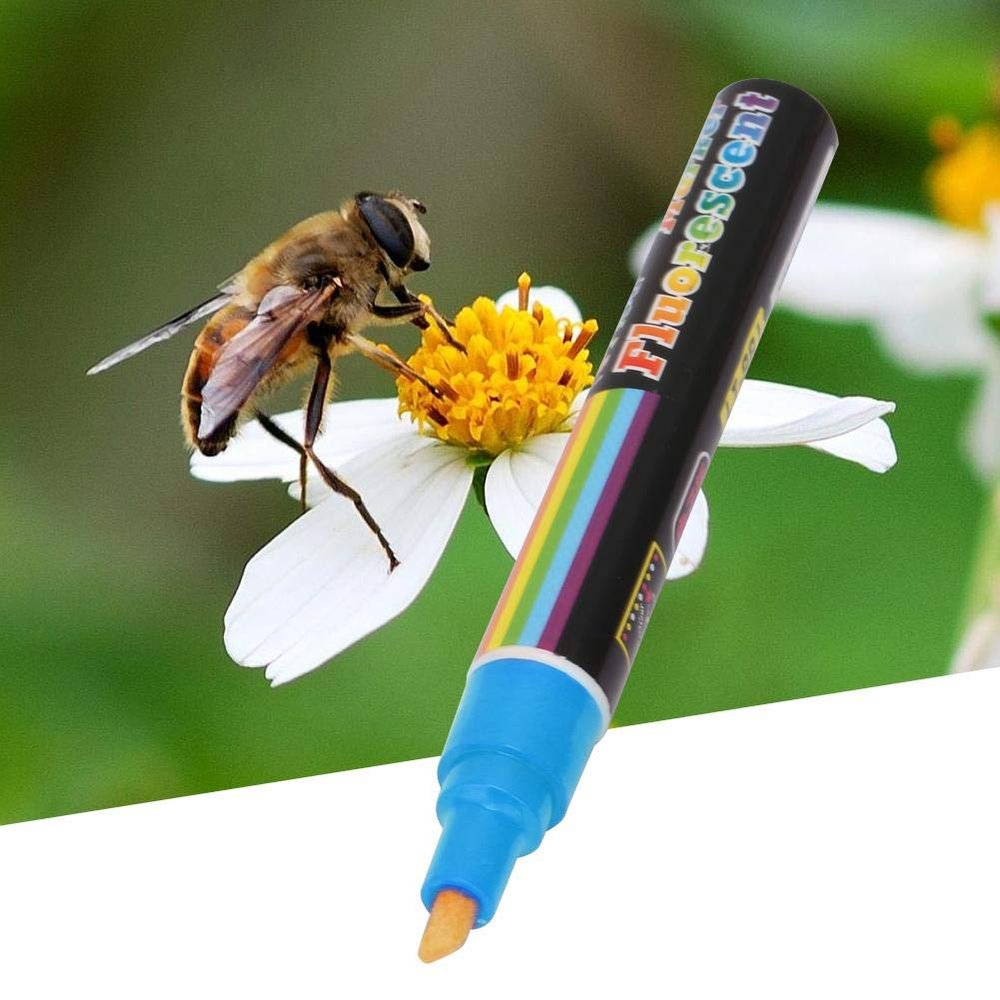 1Pc Queen Bee Marking Kit, Beekeeper, Erasable for Marking The Queen Bee Beekeeping Queen Bee(blue)