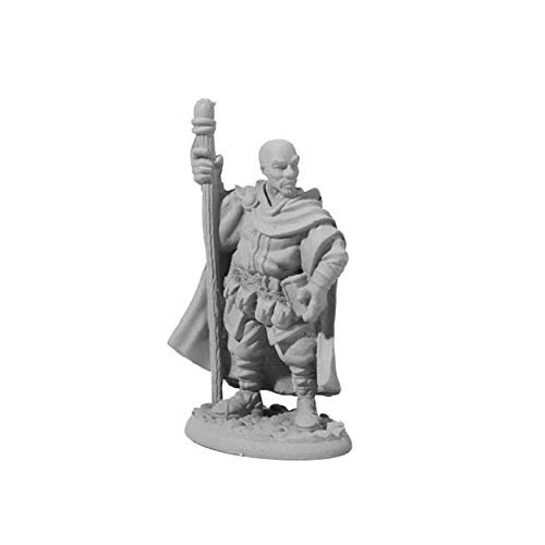 Amari Adventuring Wizard Miniature 25mm Heroic Scale Figure Dark Heaven Legends Reaper Miniatures