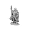Amari Adventuring Wizard Miniature 25mm Heroic Scale Figure Dark Heaven Legends Reaper Miniatures view 1