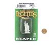 Amari Adventuring Wizard Miniature 25mm Heroic Scale Figure Dark Heaven Legends Reaper Miniatures view 2