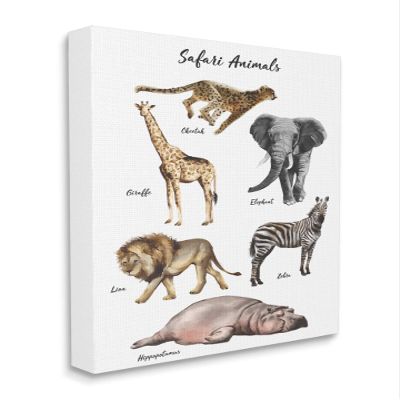 Stupell Industries Safari Animal Chart Playful Watercolor Illustrations, Design by Ziwei Li Canvas Wall Art, 24 x 30, White