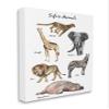 Stupell Industries Safari Animal Chart Playful Watercolor Illustrations, Design by Ziwei Li Canvas Wall Art, 24 x 30, White view 1