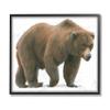 Stupell Industries Wild Northern Bear Minimal Forest Animal view 1