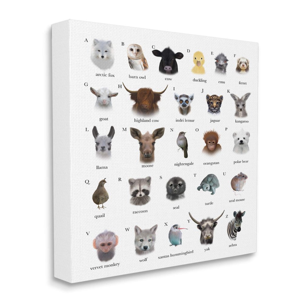 Stupell Industries Alphabet Chart of Wild Animals Over White