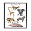 Stupell Industries Safari Animal Chart Playful Watercolor Illustrations, Design by Ziwei Li Black Framed Wall Art, 11 x 14, White view 1