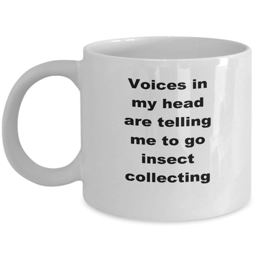 Voices in my head are telling me to go insect collecting