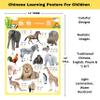 N/A/ Chinese Learning 10-Poster Set for Kids. Montessori-Inspired. Bilingual with Traditional Chinese, English, and Zhuyin. view 2