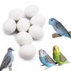 FOIBURELY 8 Pcs Solid Parrot Plastic Eggs Hatching Eggs ParrotletBudgie ParakeetDiamond Dove Trick The Birds to Stop Laying Eggs, Fake Eggs19mm*16mm view 1