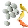 FOIBURELY 8 Pcs Solid Canary Plastic Eggs Hatching Eggs Trick The Birds to Stop Laying Eggs, Fake Eggs19mm*13mm view 1