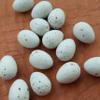 FOIBURELY 8 Pcs Solid Canary Plastic Eggs Hatching Eggs Trick The Birds to Stop Laying Eggs, Fake Eggs19mm*13mm view 3
