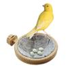 FOIBURELY 8 Pcs Solid Canary Plastic Eggs Hatching Eggs Trick The Birds to Stop Laying Eggs, Fake Eggs19mm*13mm view 4