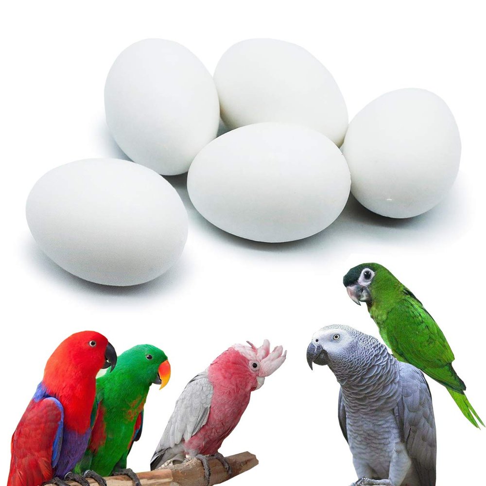 FOIBURELY 5 Pcs Solid Parrot Plastic Eggs Hatching Eggs Mini Macaw Amazon Cockatoo African Grey Eclectus. Trick The Birds to Stop Laying Eggs, Fake Eggs37mm*27mm