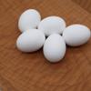 FOIBURELY 5 Pcs Solid Parrot Plastic Eggs Hatching Eggs Mini Macaw Amazon Cockatoo African Grey Eclectus. Trick The Birds to Stop Laying Eggs, Fake Eggs37mm*27mm view 3