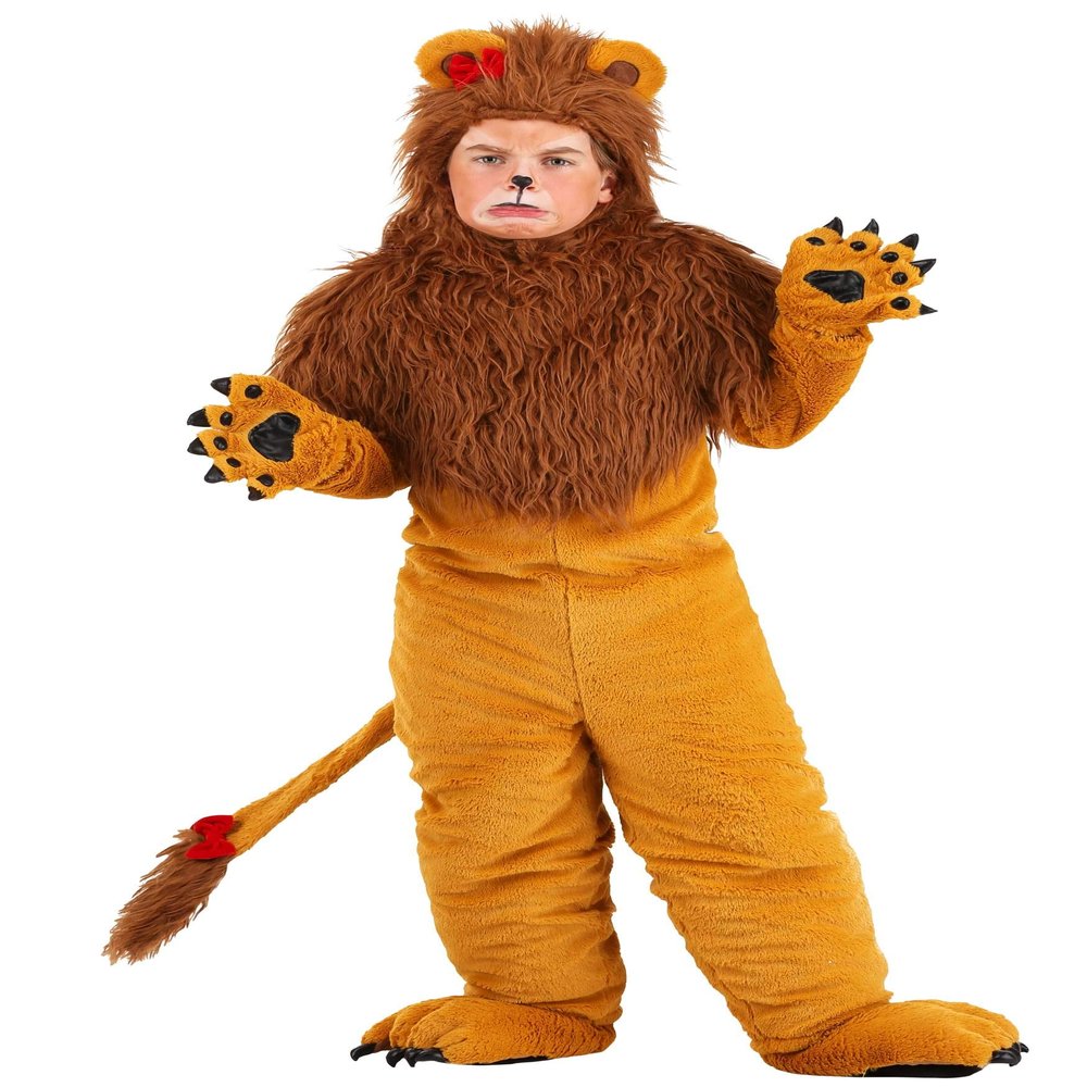 Fun Costumes Classic Storybook Lion Costume for Kids Medium
