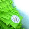 Corona Piata Virus Green Color Covid Theme Party Covid Themed Birthday Quarantined Birthday Stay Safe You Are Not Invited Themed Party view 2