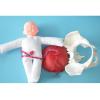 Delivery Pelvis Model Placental Umbilical Cord Model with Separable Baby and Pelvis with Doll/with Umbilical Cord/with Placenta Show The Process of Female Childbirth view 2