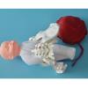 Delivery Pelvis Model Placental Umbilical Cord Model with Separable Baby and Pelvis with Doll/with Umbilical Cord/with Placenta Show The Process of Female Childbirth view 3