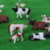 Hiawbon Mini Colorful Cattle Model 20 Pcs Cattle HO Scale 1:87 Plastic Cow Model view 3