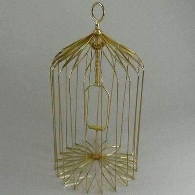 Appearing Bird Cage (2 Colors ,3 Sizes) Magic Tricks , Party Tricks, Amazing Tricks , Magic Kit,Stage Magic (Golden, S)