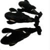 Aunt Sandy's Sewing Weighted Stuffed Animals, Orca Whale Shamu with 3-5 lbs, Washable Plush Buddy view 1