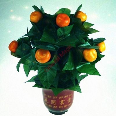 Blooming Oranges - Remote Control Magic Tricks , Party Tricks, Amazing Tricks , Magic Kit,Stage Magic (10 Oranges)