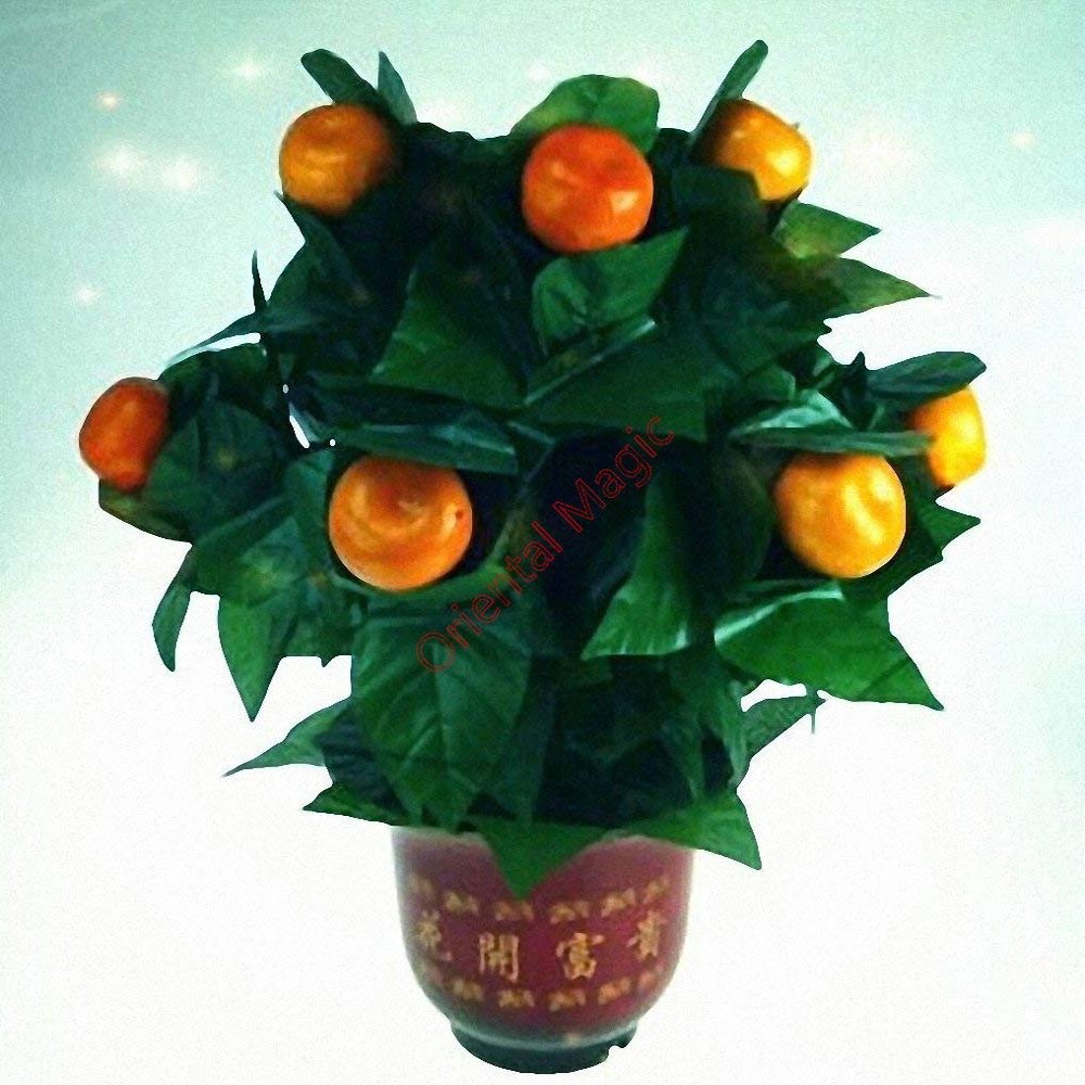 Blooming Oranges - Remote Control Magic Tricks , Party Tricks, Amazing Tricks , Magic Kit,Stage Magic (10 Oranges)
