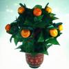 Blooming Oranges - Remote Control Magic Tricks , Party Tricks, Amazing Tricks , Magic Kit,Stage Magic (10 Oranges) view 1