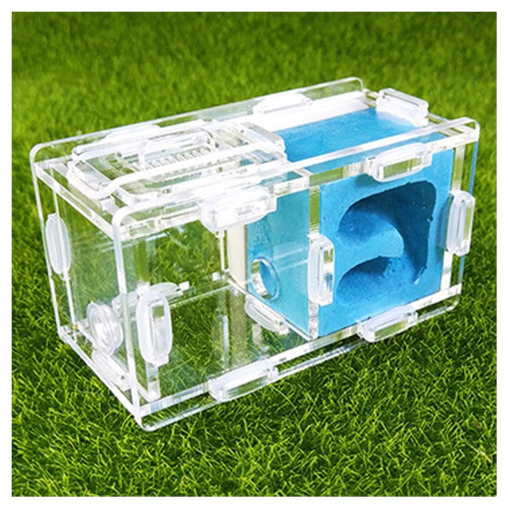 MTFZD Ant Farm Gypsum Ant Farm Acrylic Insect Ant Nests Villa Pet for Young Queens and Small Colonies Ants House 955cm for Home Ant (Color : Blue)