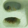 MTFZD Ant Farm Gypsum Ant Farm Acrylic Insect Ant Nests Villa Pet for Young Queens and Small Colonies Ants House 955cm for Home Ant (Color : Blue) view 2