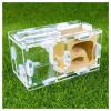 MTFZD Ant Farm Gypsum Ant Farm Acrylic Insect Ant Nests Villa Pet for Young Queens and Small Colonies Ants House 955cm for Home Ant (Color : Yellow) view 1