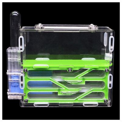 MTFZD Ant Farm DIY Acrylic Ant Nest Underground Ant Farm Ant House with Feeding Area Pet Anthill Insect Villa Workshop Castle 15115cm (Color : Green)