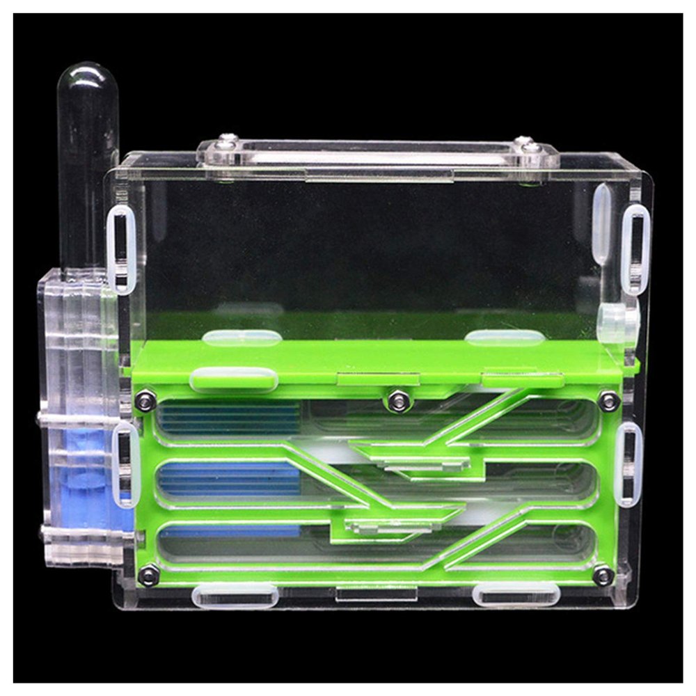 MTFZD Ant Farm DIY Acrylic Ant Nest Underground Ant Farm Ant House with Feeding Area Pet Anthill Insect Villa Workshop Castle 15115cm (Color : Green)