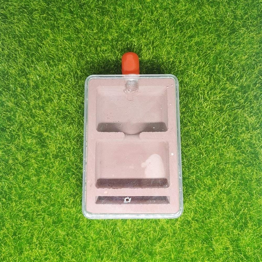 MTFZD Ant Farm Plaster Nest Ants Plane AntHouse Concrete Ant Farm Insect Terrarium Anthill 9.5 X 6 X 2cm for Birthday Present Gift (Color : Style A)