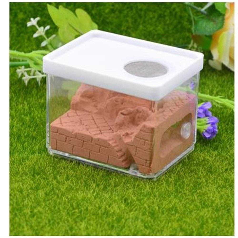 MTFZD Ant Farm Plaster Ant Nest Workshop Acrylic Ant Farm Ants Queen House Insect Cage Anthills Pet Ant Castle 10.3 7.6 7.5cm (Color : H)