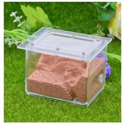 MTFZD Ant Farm Plaster Ant Nest Workshop Acrylic Ant Farm Ants Queen House Insect Cage Anthills Pet Ant Castle 10.3 7.6 7.5cm (Color : F)