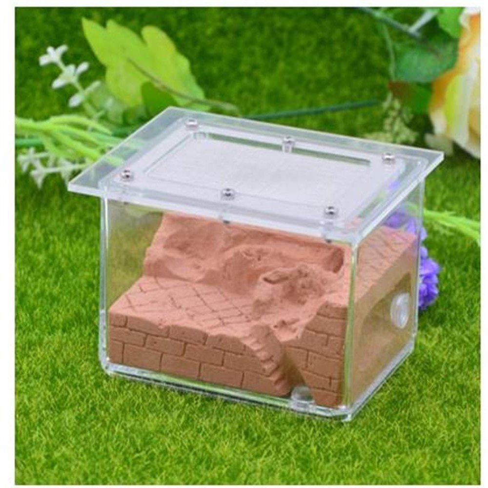 MTFZD Ant Farm Plaster Ant Nest Workshop Acrylic Ant Farm Ants Queen House Insect Cage Anthills Pet Ant Castle 10.3 7.6 7.5cm (Color : F)