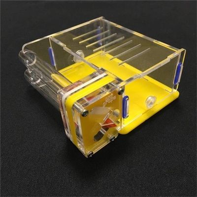 Ant Farm Ant Grape 2 Tube with Feeding Area Ant Nest Ant Farm Acryl Insect Ant Villa Ants Workshop Pet Mania for House Ants (Color : Yellow)
