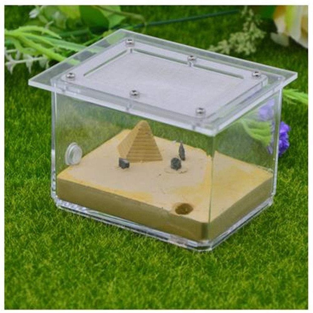 MTFZD Ant Farm Plaster Ant Nest Workshop Acrylic Ant Farm Ants Queen House Insect Cage Anthills Pet Ant Castle 10.3 7.6 7.5cm (Color : C)