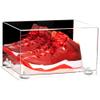 Better Display Cases Acrylic Shoe Pair Display Case - Large Rectangle Box with Mirror Case, Clear Base and White Risers 15.25" x 12" x 9" (A082/V13) view 1