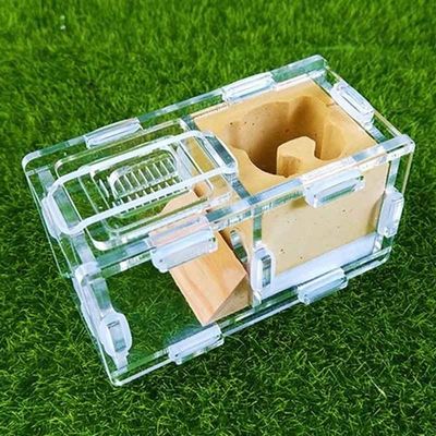 MTFZD Ant Farm Beautiful Reptile Terrarium Ant Nest Ants Farm Acrylic and Gypsum Ant Breeding Hobby Insect Supplies Unique Gifts (Color : C5)