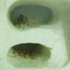 MTFZD Ant Farm Beautiful Reptile Terrarium Ant Nest Ants Farm Acrylic and Gypsum Ant Breeding Hobby Insect Supplies Unique Gifts (Color : C5) view 3