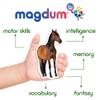 Fridge Magnets for Toddlers - Magdum - 85 Set Zoo+Farm+Fruit+Vegetable - Real Magnetic Animals for Refrigerator - Realistic Magnets for Kids - Learning Toy Set - Baby Educational Gift - 4 Box view 3